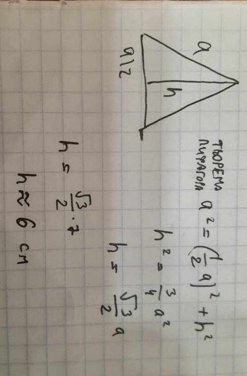  Знайти висоту рівностороннього трикутника зі стороною 7 см 
