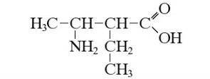  3-аміно-2-етилбутанова кислота формула 