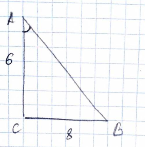  В прямоугольном треугольнике ABC катет AC равен 6 см катет BC равен 8. Найти синус угла A. С чертеж