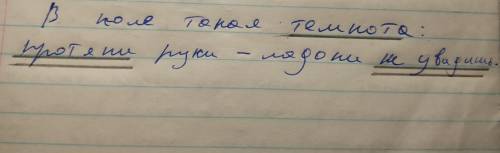  В поле такая темнота: протяни - руки ладони не увидишь. надо подчеркнуть главные члены предложения.