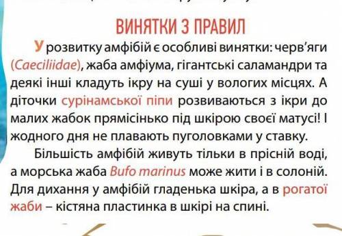  Як пристосувалися амфібії до зимівлі, чому вони не замерзають? 