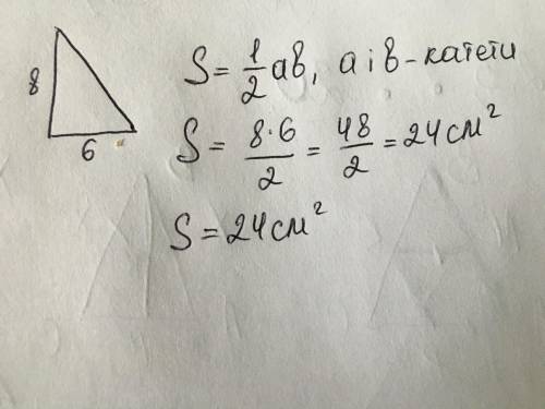  Якщо катети прямокутного трикутника дорівнюють 6 см і 8 см. То скільки дорівнює його площа 