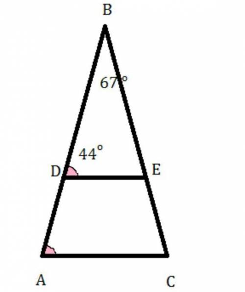  Нарисуй треугольник ABC и проведи DE ∥ AC. Известно, что: D∈AB,E∈BC, ∢CBA=67°, ∢EDB=47°. Найди ∡ BC