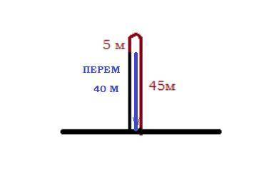  Начальная скорость стрелы, выпущенной из лука вертикально вверх, равна 30 м/с. Чему равно перемещен