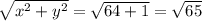 \sqrt{x^2+y^2} = \sqrt{64+1} = \sqrt{65}