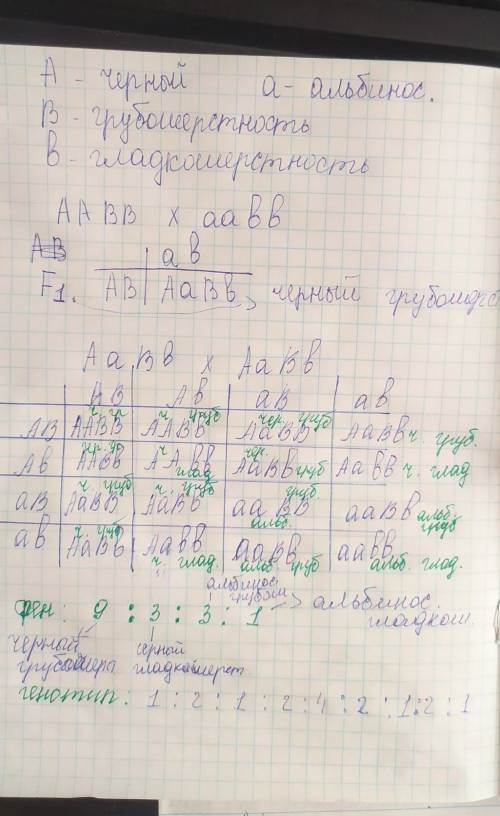 Задача 1. У морских свинок черная окраска доминирует над альбиносной, грубошерстность доминантна по 