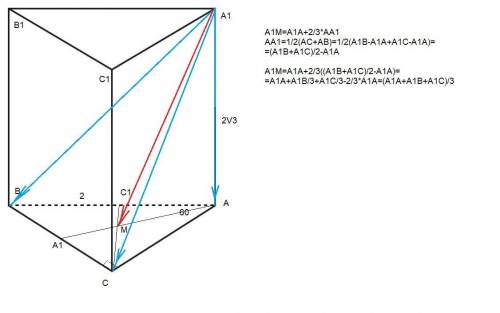 В прямой призме АВСА1В1С1 угол ABC = 90°, угол CAB = 60°; АВ = 2 см, АА1=2√3 см. 1) Найдите площадь