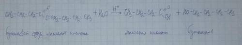  Напишите уравнение гидролиза бутилового эфира масляной кислоты 
