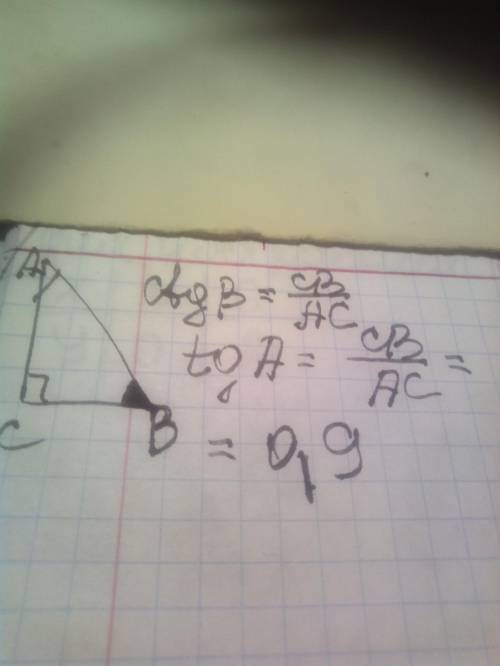  Знайдіть значення тангенса кута А , прямокутного трикутника АВС ( С=90°),якщо катангенс В=0,9.​ 