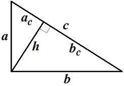 Висота опущено на гіпотенузу прямокутного трикутника ділить її на відрізки 6 см і 18 см.Знайдіть сто