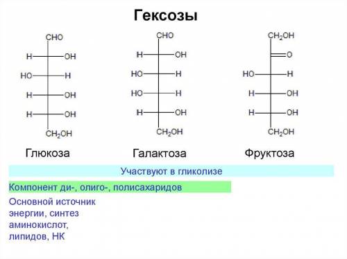 Моносахариды, содержащие шесть атомов углерода, называются