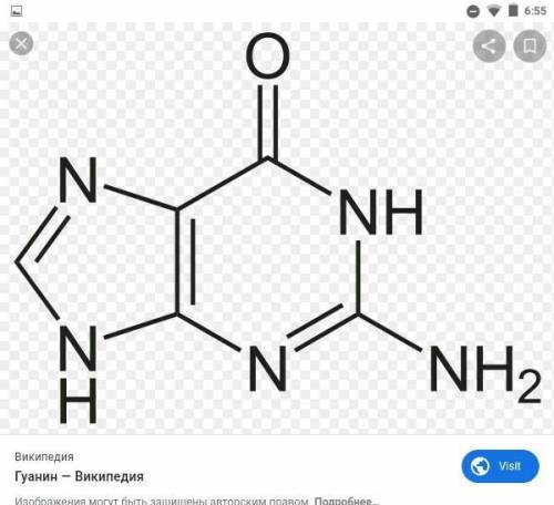Цитозин, тимин, урацил, аденин, гуанин курылымдык жане молекулалык формуласын, атын жазамыз​