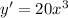 y'=20x^3