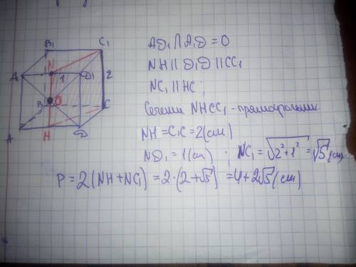 Постройте сечение куба ABCDA1B1C1D1 плоскостью, проходящей через ребро СС1 и точку пересечения диаго