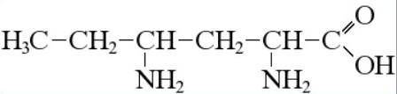 Напишите формулу аминокислоты. Б)2,4-диаминогексановой