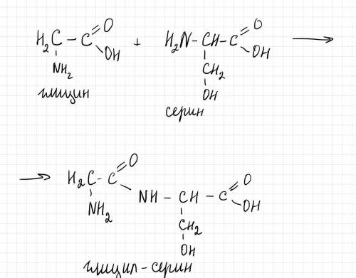 Написать реакцию глицин+серин. ​