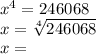 x^{4}= 246068\\ x= \sqrt[4]{246068} \\x=
