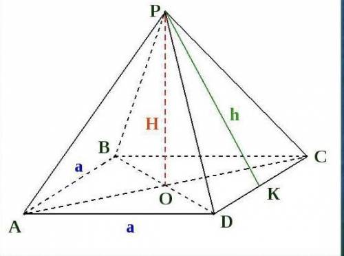 Площадь основания правильной четырехугольной пирамиды 16 см и боковая поверхность 24 см в квадрате .