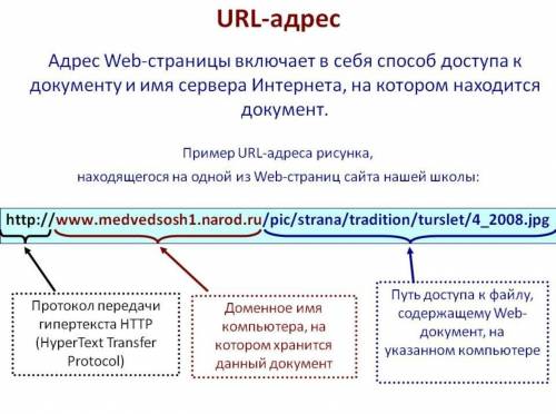 Какие части включает url-адрес документа в интернете?