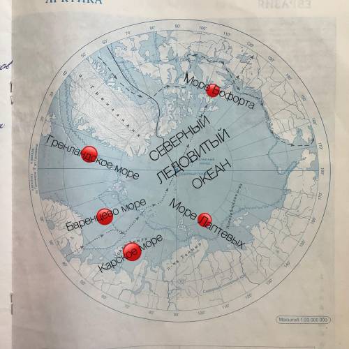 Внизу карта там подписать Арктика обозначьте на карте: Баренцево море, гренландское море, море Лапте