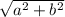 \sqrt{a {}^{2} + b {}^{2} }