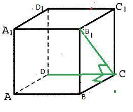 Abcda1b1c1d1 куб, доведіть: b1C ⊥ DC