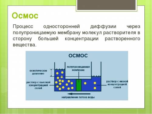 Раскройте суть: плазмолиз, тургорное давление,осмос​