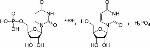 Предложите возможную формулу нуклеотида, если в результате его гидролиза в кислой среде образовались