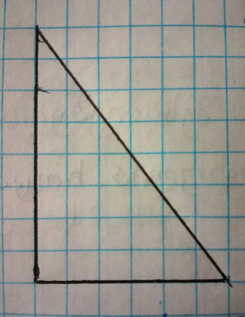2. Постройте прямоугольный треугольник с катетами 3 см и 4 см.​