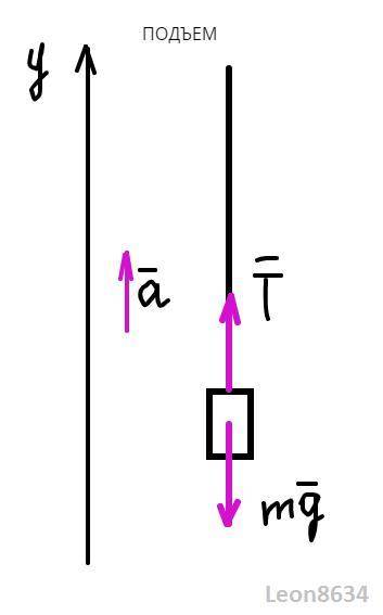 груз какой массы m можно поднять равноускоренно за промежуток времени ∆t=10с на высоту h=10, действу