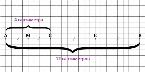 Длина отрезка AB равна 12 см.AC=4 см,M-середина АС,E-середина CB.Найдите длину отрезка МE.Рассмотрит