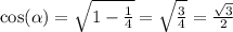 \cos( \alpha ) = \sqrt{1 - \frac{1}{4}} = \sqrt{ \frac{3}{4} } = \frac{ \sqrt{3} }{2}