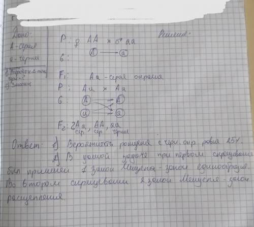 Скрестили дрозофил с серой и чёрной окраской. В потомстве все особи имели серое тело. Определите вер