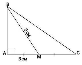 Один з катетів прямокутного трикутника дорівнює 6 см. Медіана, проведена до цього катета дорівнює 5