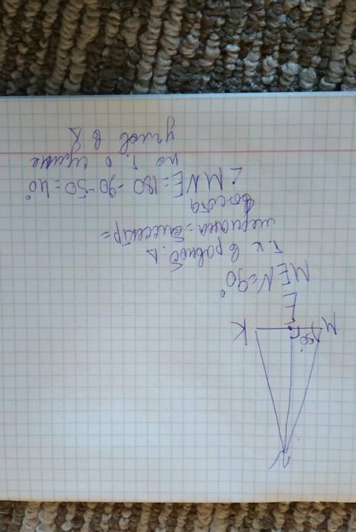 В равнобедренном треугольнике MNK MN = NK, NE – биссектриса, ∠M = 50°. Найди углы треугольника MNE.