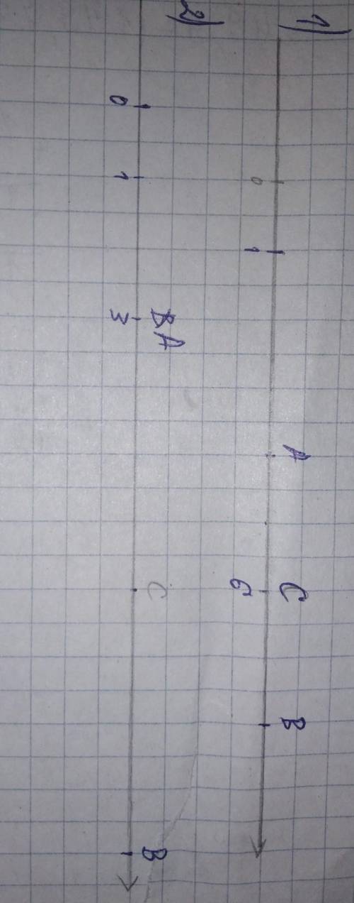 B. 21. Бірлік кесіндісі дәптердің 2 торкөзінің ұзындығына теңкоординаталық сәуле сызыңдар.Координата