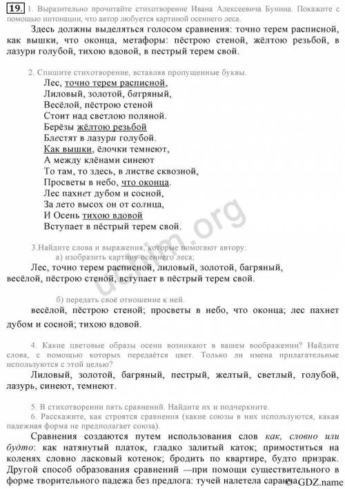 6 класс русский язык учебник разумская упр 19 надо найти прилагательные​
