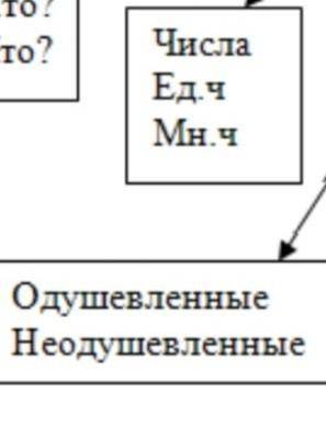 Зат есім туралы не білесің?(Что вы знаете о существительных?) на казахском языке
