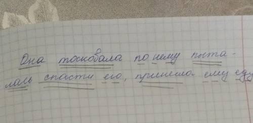 синтактический разбор предложения Она тоскавала по нему пыталась его, принесла ему еду​