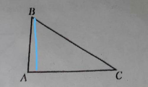 постройте высоту, опущенную на сторону АС. ​