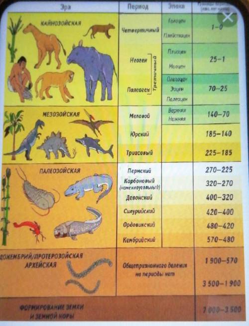 Заполни таблицу:Геологическое время. Эры, Физические процессы на земле, Виды животных. ​