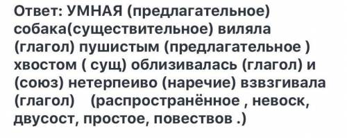 Разбор номер 4? Умная собака виляла пушистым хвостом облилизавалась и нетерпеливо взвизгивала