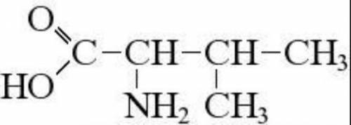 2-аміно 3-метил бутанова кислота​