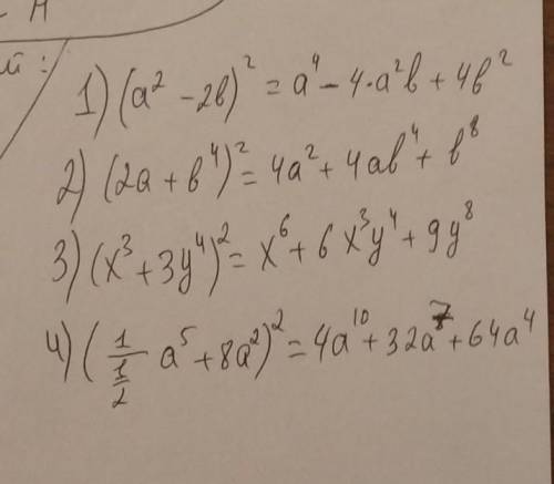 Представьте в виде многочлена. 1) (а^2 - 2b)^2 2) (2a+b^4)^2 3) (x^3+3y^4)^2 4) (1/1/2 a^5 + 8a^2)^2