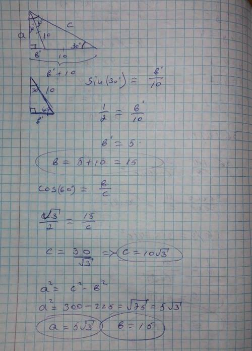 у прямокутному трикутнику гострий кут дорівнює 60°, бысектриса дорівнює 10см Знайдіть довжину катета