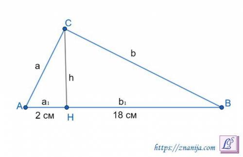 Проекція катетів прямокутного трикутника 2 і 18 см. Знайти катети​