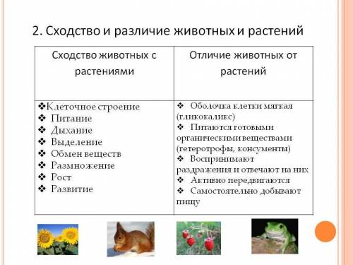 1. Какие сходства между животными и растениями? 2. Из каких тканей состоит организм животных? 3. Из
