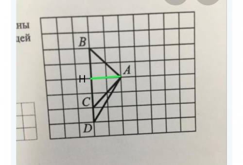 На клетчатой бумаге с размером клетки 1х1 нарисован треугольник ABC и ACD. Найдите длину их общей вы