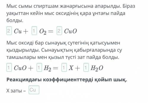 Химиялық реакция теңдеулері құру. Мыс сымы спиртшам жанарғысына апарылады. Біраз уақыттан кейін мыс