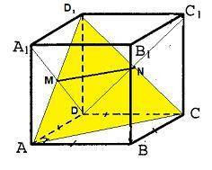 Дан прямоугольный параллелепипед, основания ABCD и A1B1C1D1 которого являются квадратами со стороной